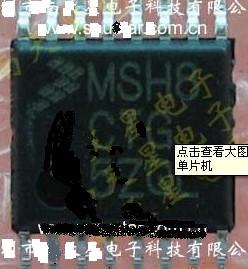 MSH8CTG.jpg