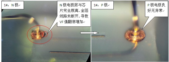 10087.jpg