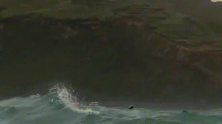 72543_1347078_677324.gif