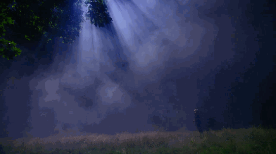 dr3.gif