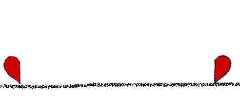 5.gif