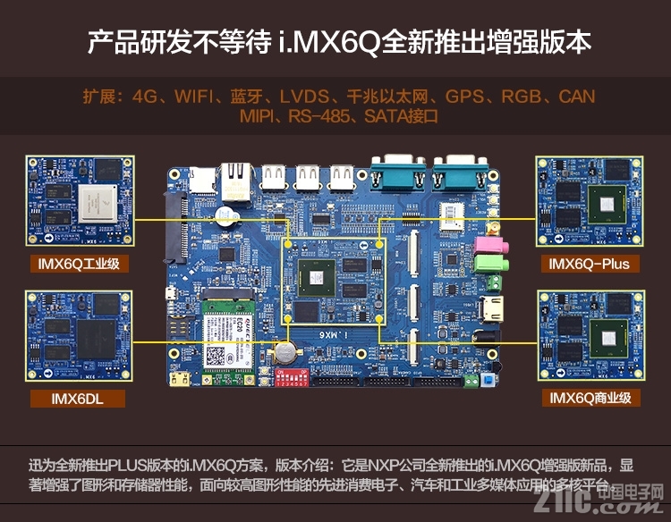 IMX60306.jpg