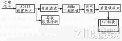 29 (3)_副本.jpg