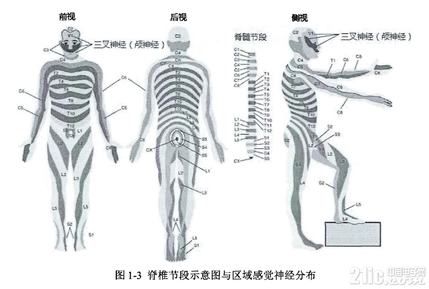 142975d88578e3be43.png