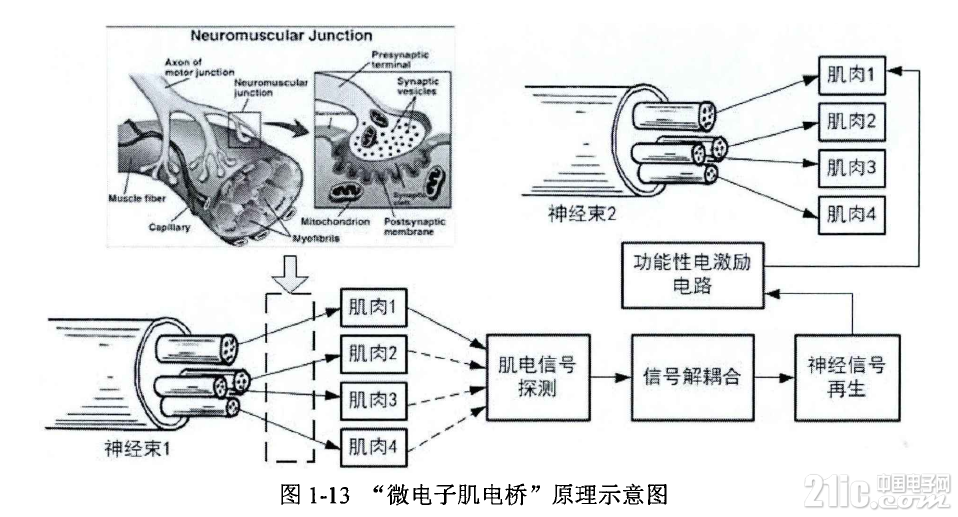 719685d88589491ebf.png