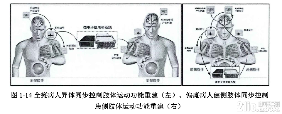 239055d88589ea28d8.png