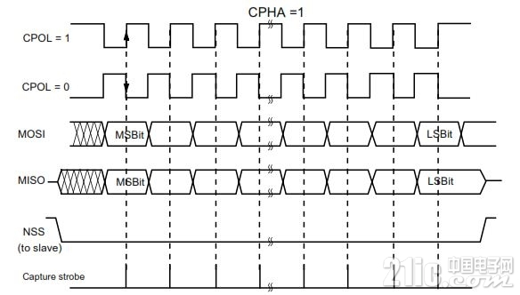spi003.JPG