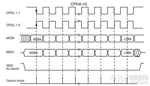 spi004.JPG