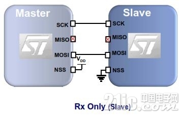 spi012.JPG