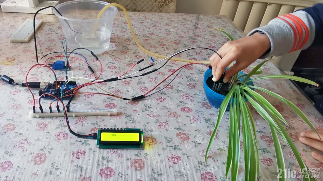 LLAKG：Arduino 自动浇花系统（第3集：C语言程序升级与功能优化）.00_07_01_09.静止01.jpg