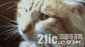 v2-e2b6a8b0ad93977fefbfed8b06aa95c7_hd.jpg