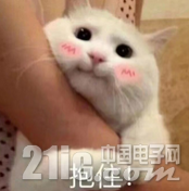 226485e7f52d3023b6.png
