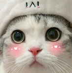 22105e84950ec9ba5.png