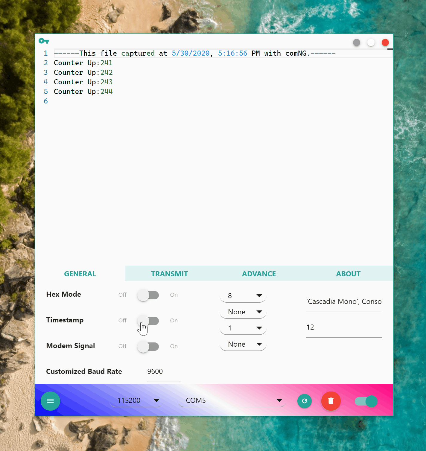 demo.gif