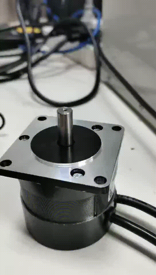 ali2.gif