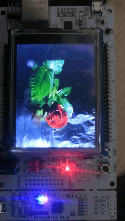 c272 (1).gif