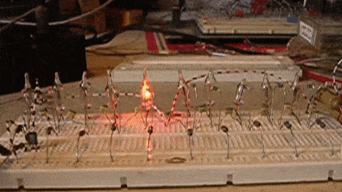 氖流.gif