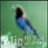 image-20231128005020921.png