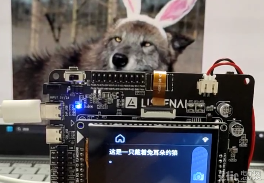 1、大模型.png