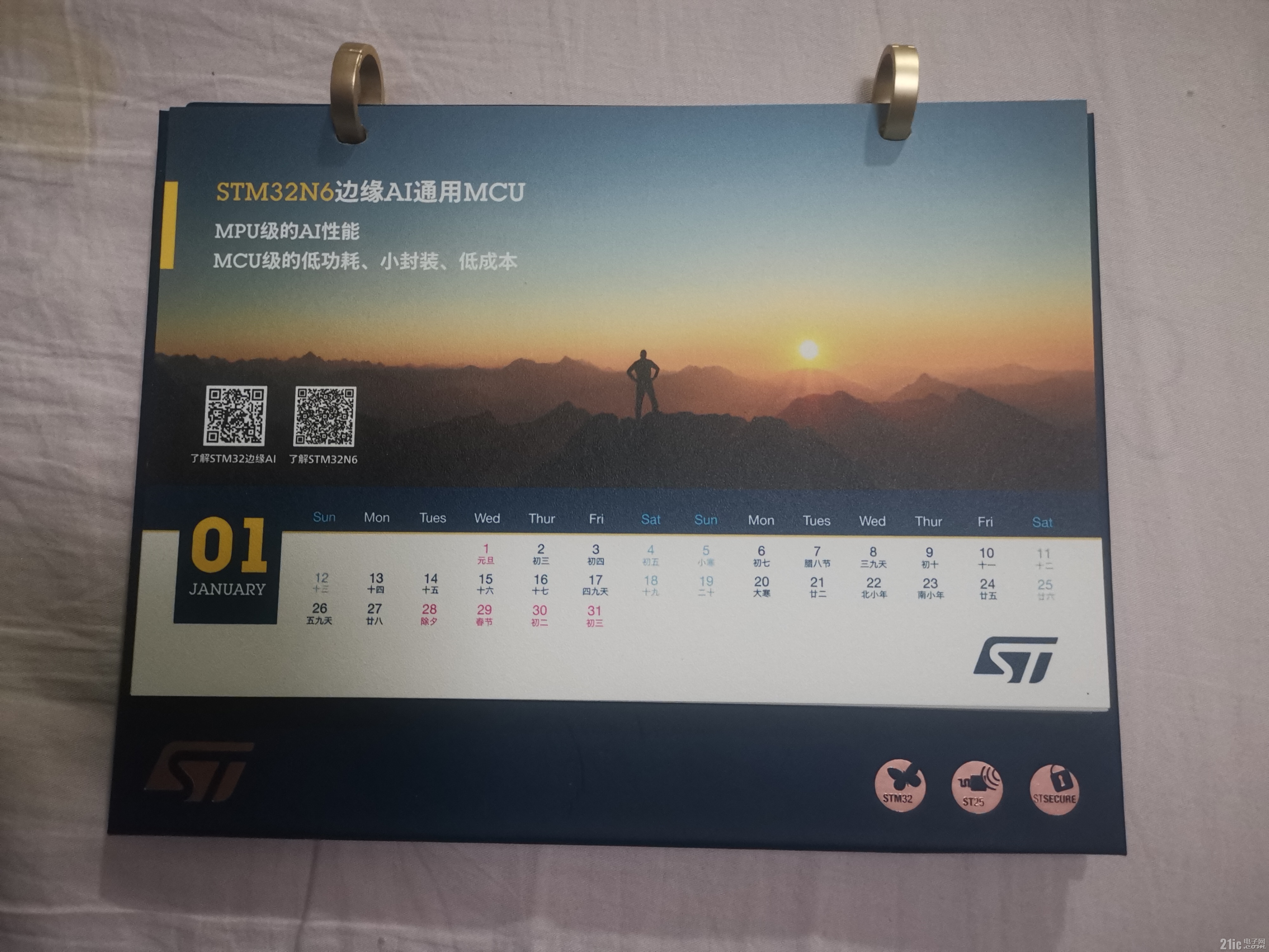 IMG_20241222_172510.jpg