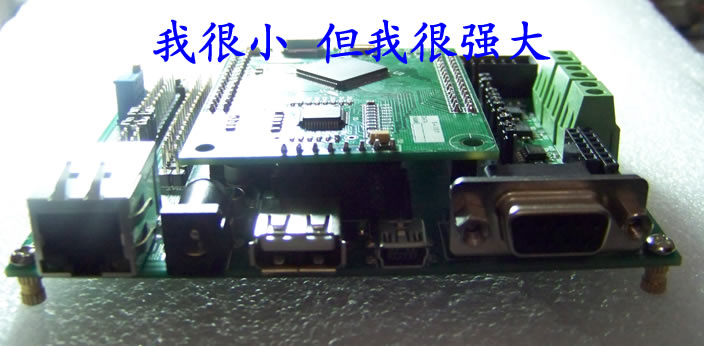 掌心2.jpg
