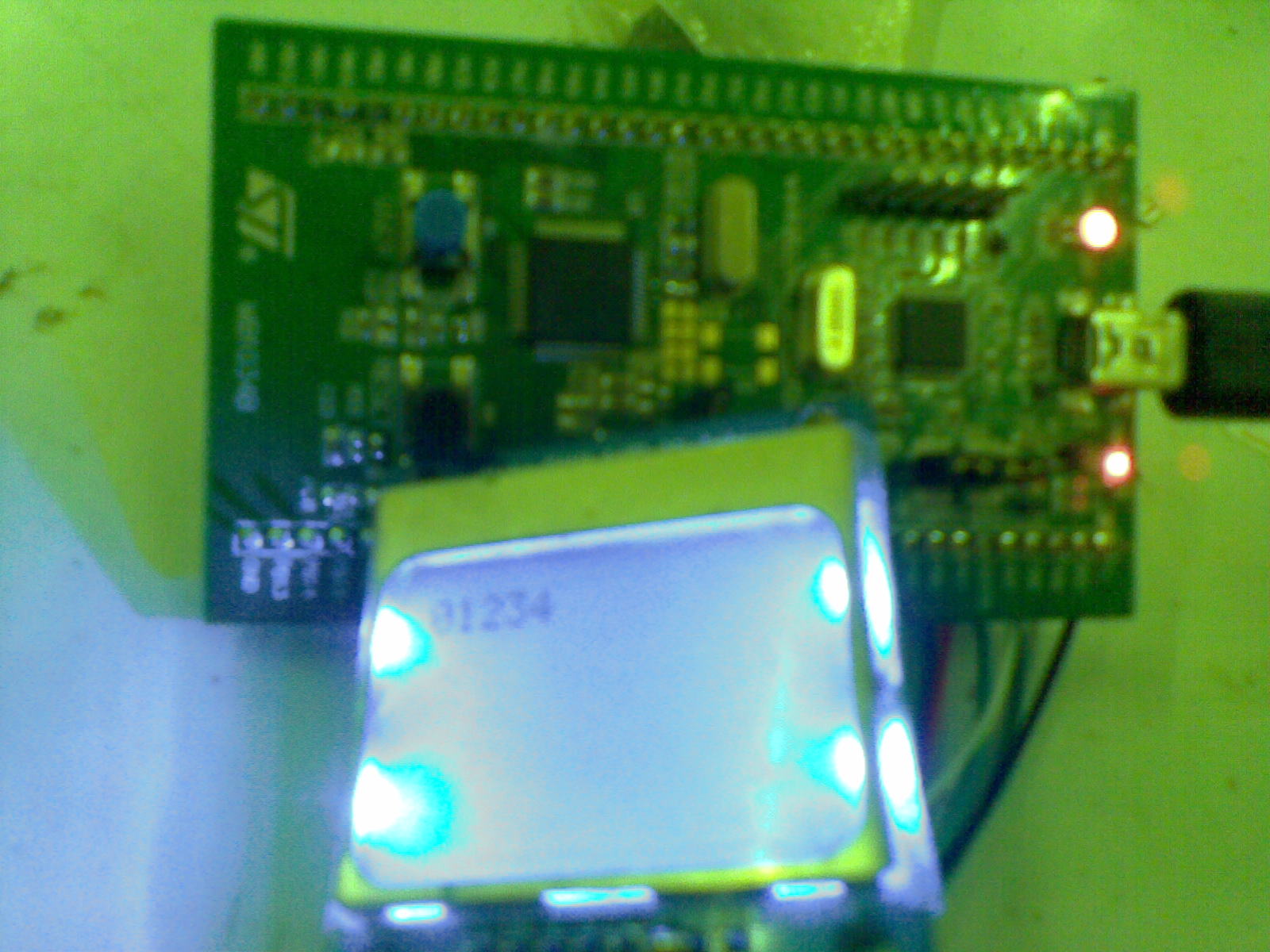 20120816_001.jpg